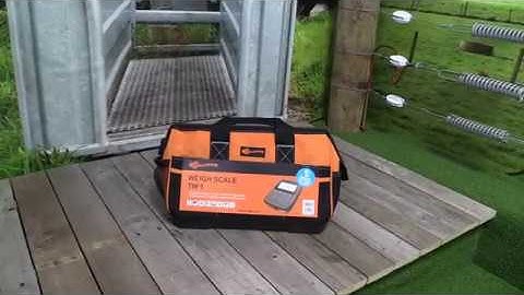 Gallagher TW scales | How to get started