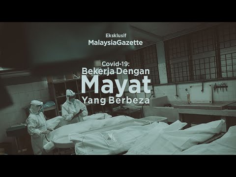 Video: Bahagian Ini Mendapat Pemaju Hanya Untuk Membina Senjatanya