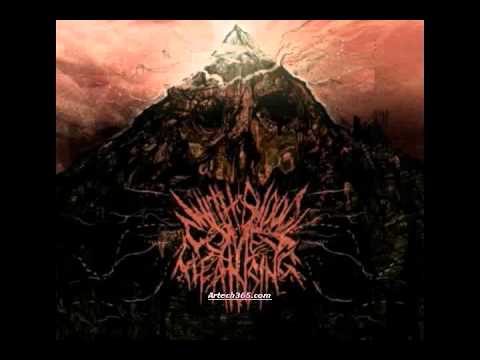An Introduction To Death Video