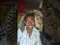 #phonk#funnyvideo