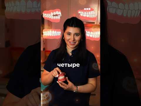 Виды прикуса🦷 #прикус #зубы #аномалия #хэллоуин #улыбка #еврокаппа #eurokappa