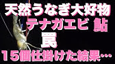 テナガエビ ペットボトル仕掛け 作り方 Youtube