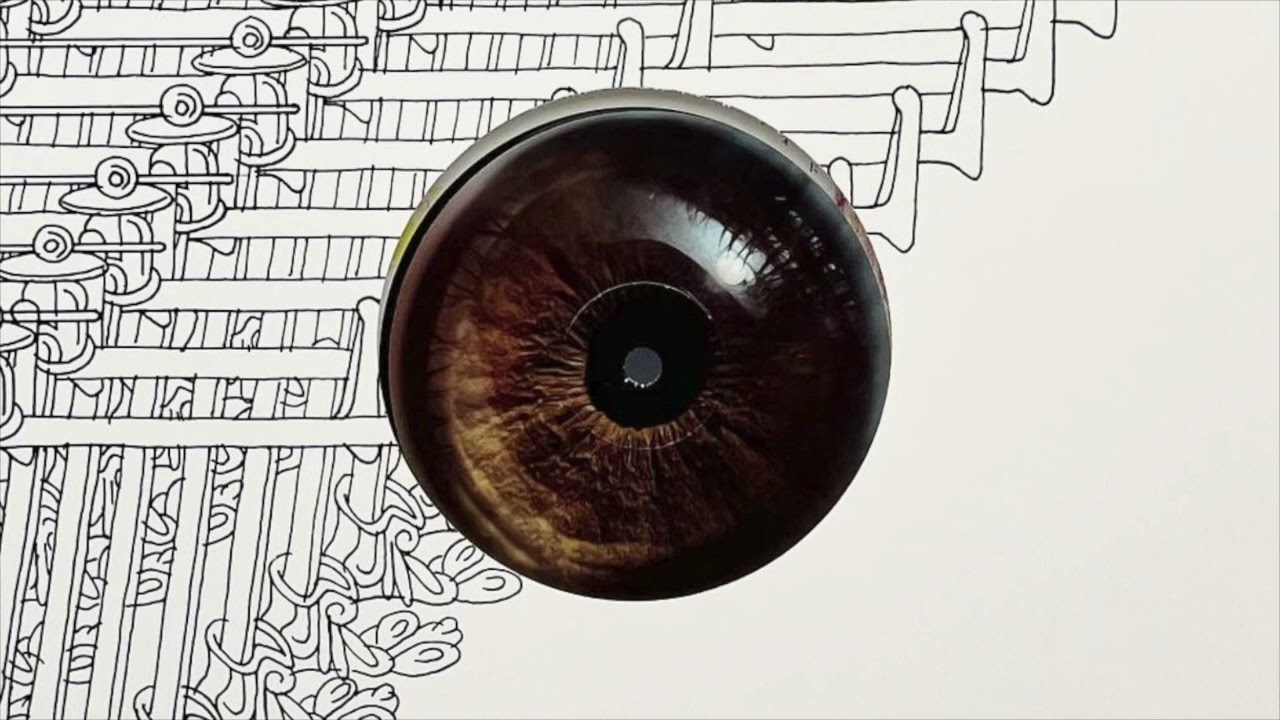 Fango - Elle Cang (Degu 035)