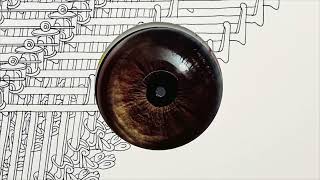 Fango - Elle Cang Degu 035