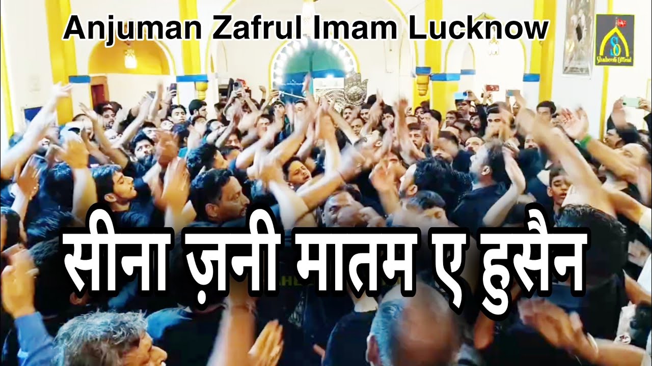 Chehlum Lucknow 2025 | Anjuman Zafrul Iman Lucknow | Seena Zani | सीना ज़नी | Karbala Talkatora Lko