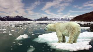 Multimedia: Environmental Change