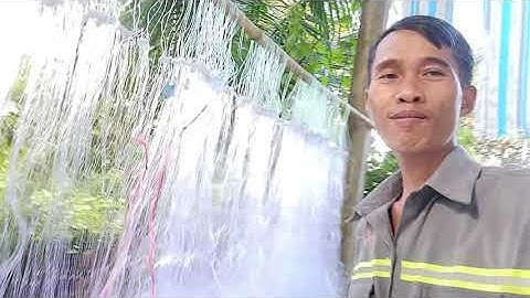 Mùa cá rô đồng Củ Chi ( nước nổi rồi)