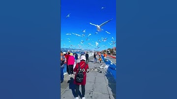 雲南最值得去的16個地方，這才是真正的彩雲之南，看看你去過幾個？#雲南旅遊 #雲南旅行一看就懂的詳細攻略 #雲南旅遊攻略#旅行推薦官 #旅行大玩家 #旅行 #旅行推薦