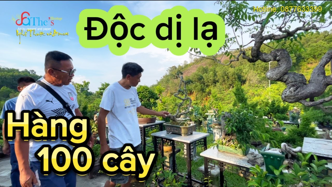 Lên núi cùng anh em Ba Miền ngắm vườn Bonsai nhiều cây Độc Dị Lạ của nghệ nhân Lưu Trường Sơn