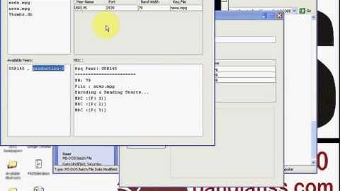 Network Coding Equivalent Content Distribution for video-on-demand operations - PASS MSc Projects
