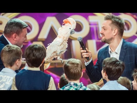 «Золото нации». Софья Кирьян. Голоса птиц