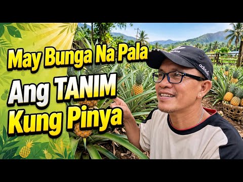 SURVEY MUNA SA AMING LUPAIN KUNG MAY MGA BUNGA BA ANG MGA TANIM KUNG PRUTAS || JFCTV