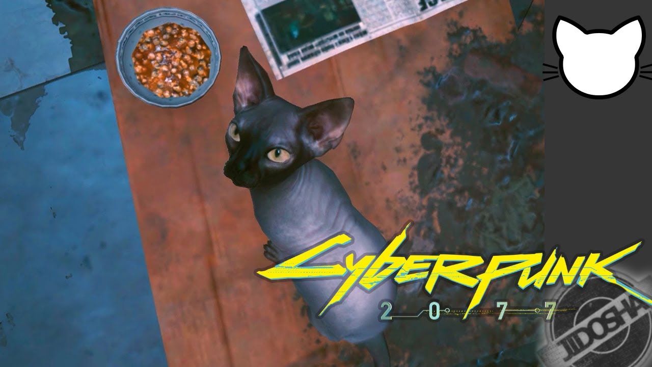Cats in Cyberpunk 2077 YouTube