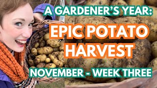 HOW TO STORE POTATOES - A GARDENER’S YEAR 2025: NOVEMBER - WEEK THREE