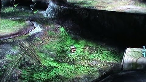 Pikmin 2: Other People