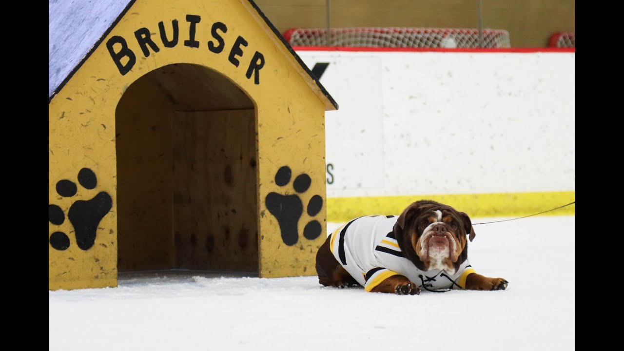 Adrian College Ice Hockey Hosts SVSU l ACHA MD3 | 1/15/22
