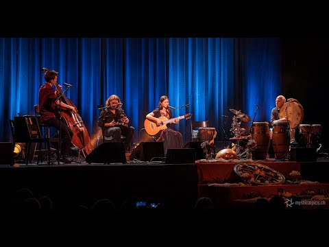 Guacamayo - Danit & Friends Live 2019