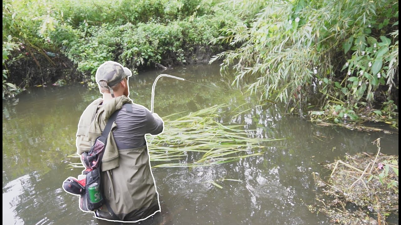 Hidden Woodland Stream Has Big Fish! New PB?!