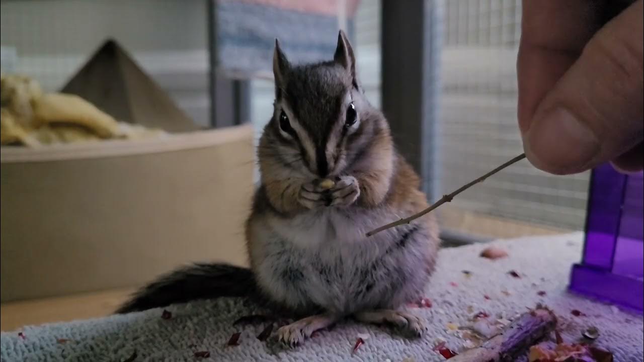 I m in touch. Lets keep in touch. In touch картинка. In touch. I m in touch.