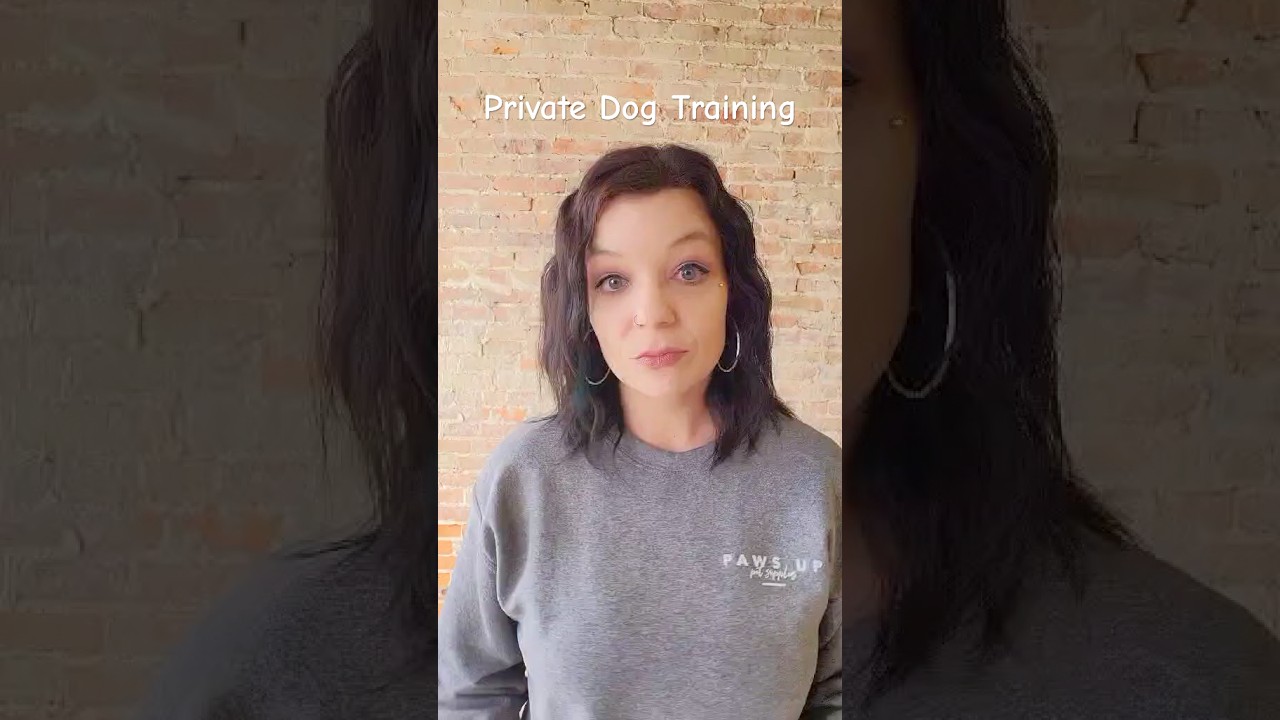 Private Dog Training