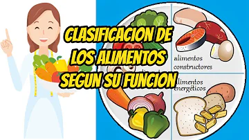 ¿Cuál es la función de lo alimentos protectores?