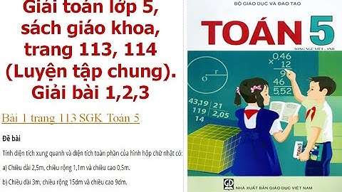 Giải toán lớp 5 trang 113 bài 1