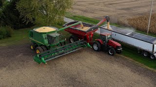 Soybean Harvest