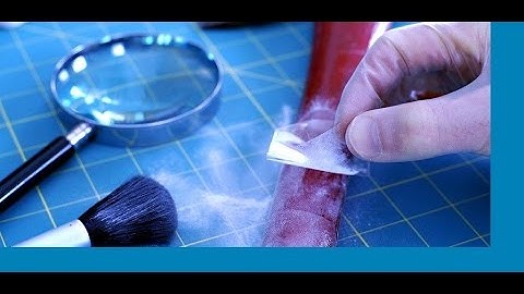Criminological And DNA Forensics Documentary