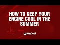 How to Keep Your Car Engine Cool in the Summer | BlueDevil Products