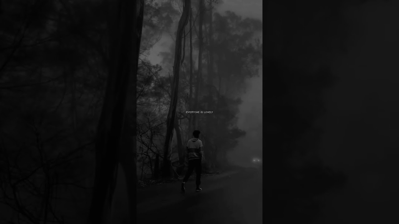 Alan Walker - Unity (Lyrics) ft. Walkers | Everyone is lonely sometimes | Aesthetic 