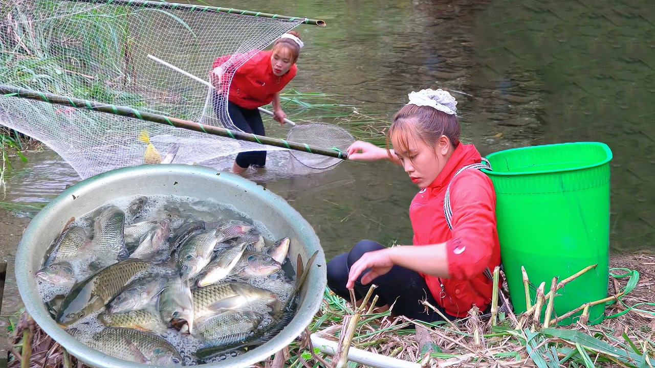Girl Builds Bamboo Fish Trap in Mountain Stream | Big Carp Harvest ...