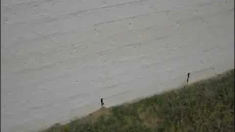 Brandon, Madison Home Inspection Minute Talks about Weep Holes