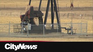Alberta's Premier says low oil prices could mean tough budget decisions