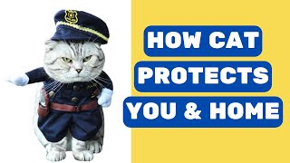 Unveiling the 10 Secrets of How Cats Keep You and Your Home Safe by Pet in the Net 1,386 views 4 months ago 4 minutes, 7 seconds