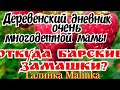 Деревенский дневник очень многодетной мамы /Откуда барские замашки и понты? //Обзор Влогов //