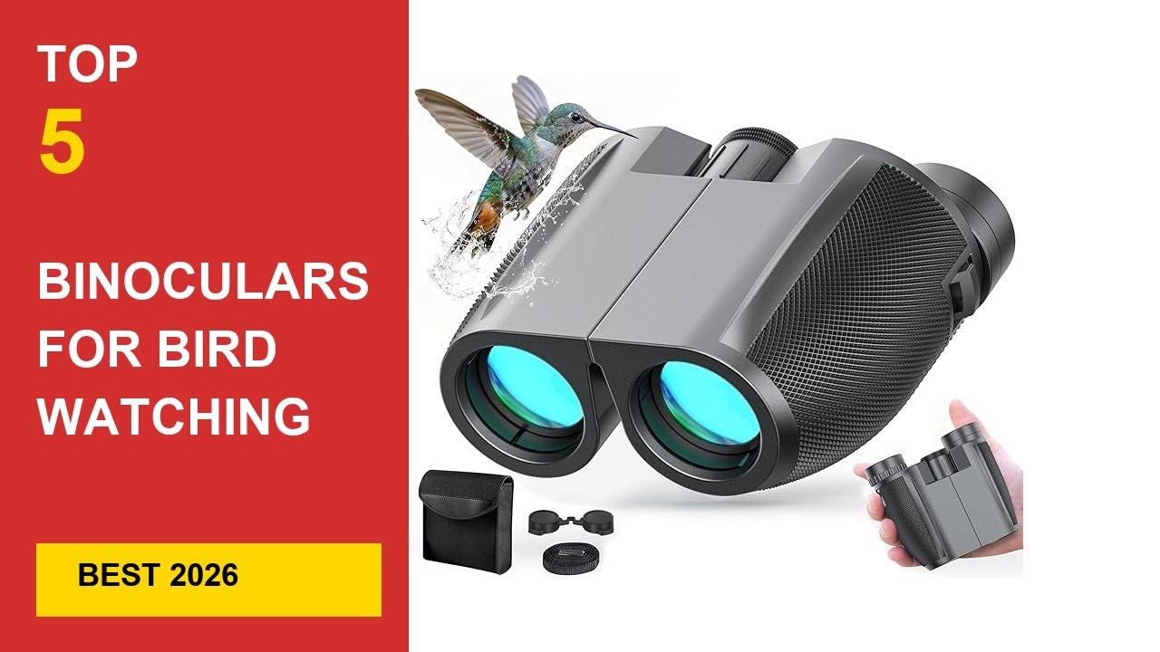Best Binoculars For Bird Watching Compact in 2026 - Expert Reviews in 2026