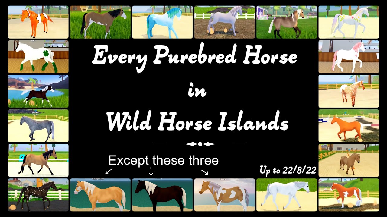 Wild Horse Islands Wiki