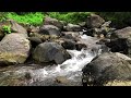Relaxing Mountain Water Flow, Babbling Brook, River Sounds for Sleeping for Study