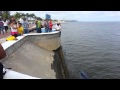 Aparece tiburn en aguas de la baha de Campeche