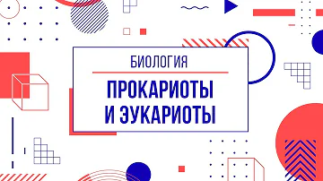 Чем отличаются прокариоты от эукариот? Интеллект карта с отличиями двух надцарств живых организмов