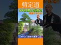 《伸び放題の松剪定》中段下段の剪定ポイント #剪定方法 #庭作業 #庭木の管理 #剪定方法 #松 #実家 #庭じまい #庭木の剪定