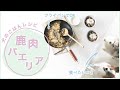 【犬のごはん】フライパンで鹿肉パエリアを作るよ！｜手作り犬ごはんレシピ