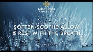 Daily Meditation   Soften Soothe Allow & Rest with Breath