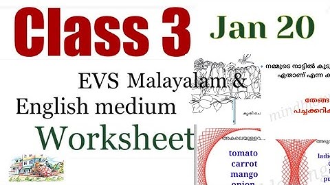 Class 3 Evs worksheet January 20|kite |victers worksheet |3 class evs jan 20 work|victers 3