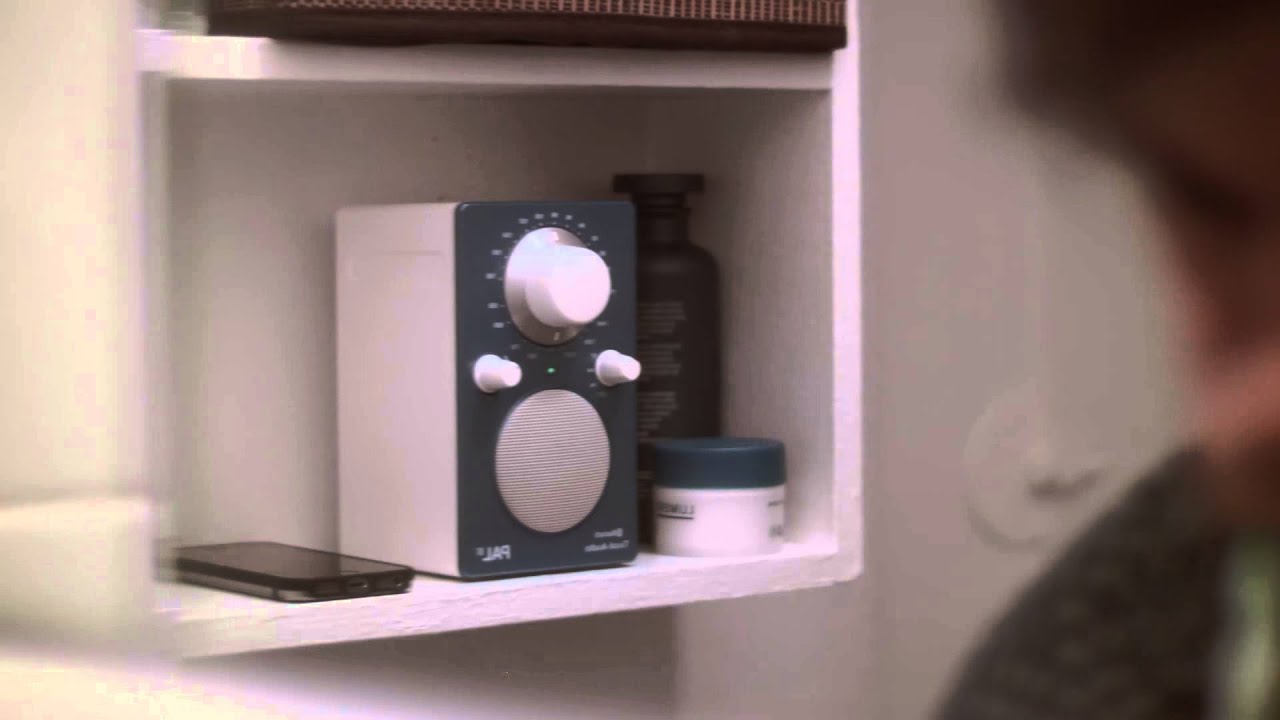 tivoli pal bt speaker