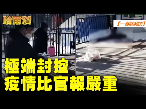 【#一线采访】哈尔滨极端封控 市民指疫情比官报严重