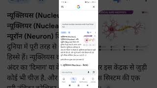 differentiate between nucleus nuclear and neurone