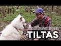 KAIMIEČIO DIRBTUVĖS #8 - TILTAS