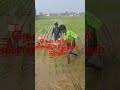மாடு கலப்பை மேலூர் மதுரை🇮🇳 9787672239