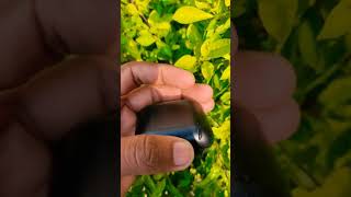 Download Lagu Mivi DuoPods F30 #shorts #mividuopodsf30 #mivi #earbuds MP3